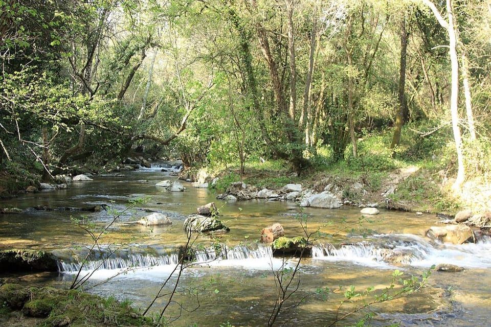 The Brague river in its departmental nature park, between Biot and Valbonne