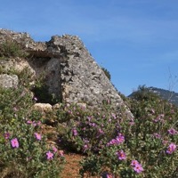 Sentier de randonnée vers le Mont Chauve depuis Falicon