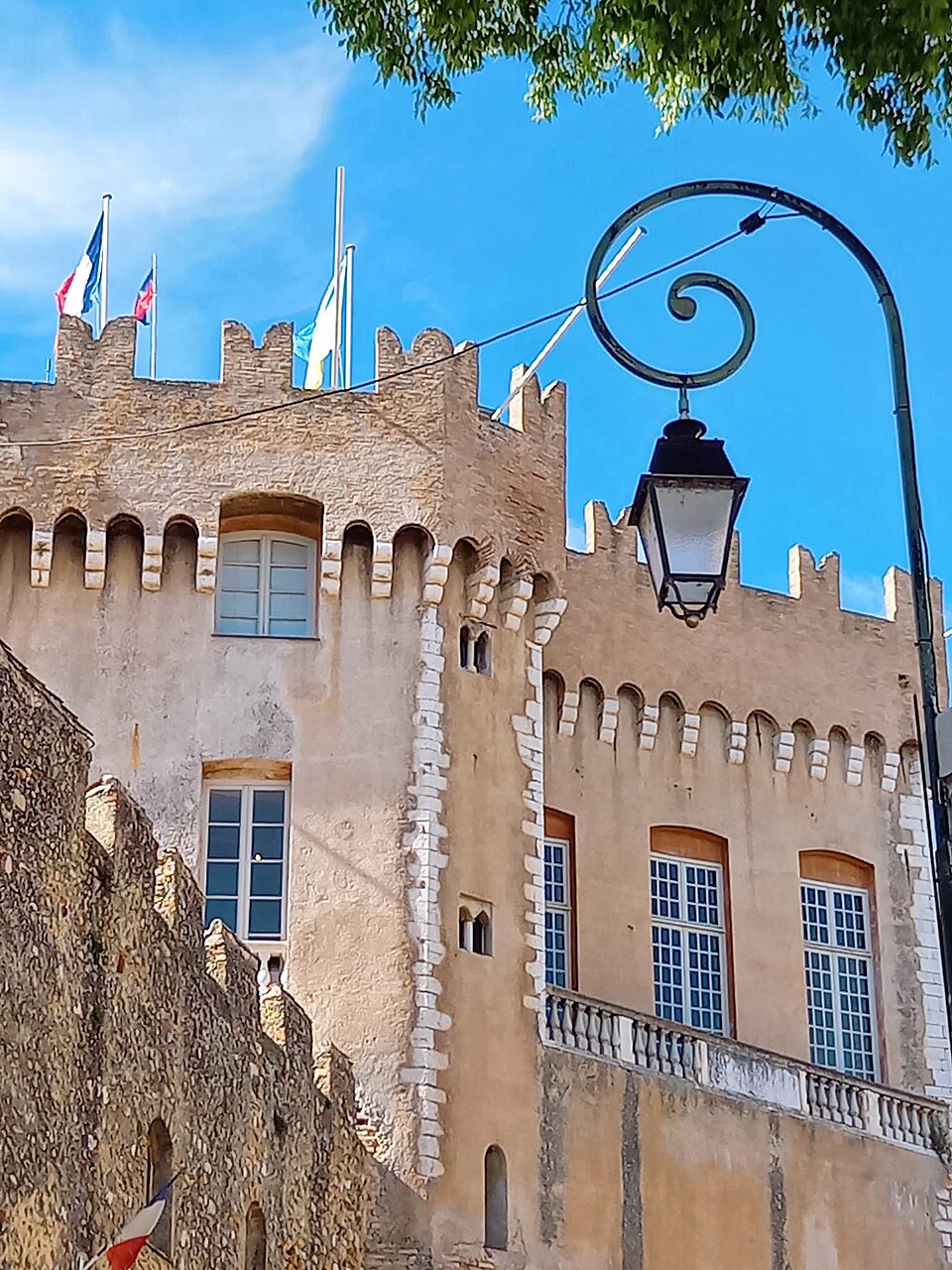 Château-Musée Grimaldi