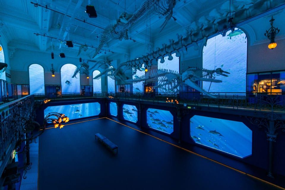 Oceanographic Museum