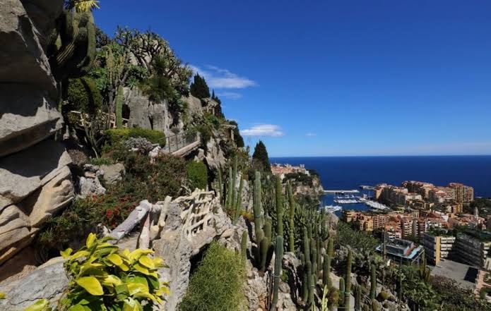 Jardin exotique de Monaco à flanc de falaise