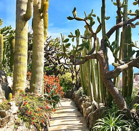 Jardin exotique de Monaco à flanc de falaise
