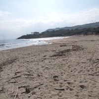 Vignoble du Château de Pampelonne en bordure de la plage