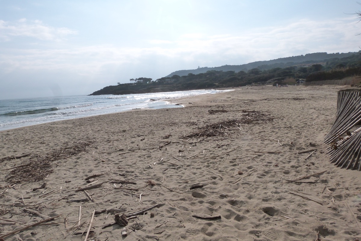 Plage de sable sauvage de Pampelonne côté sud avec bois flotté